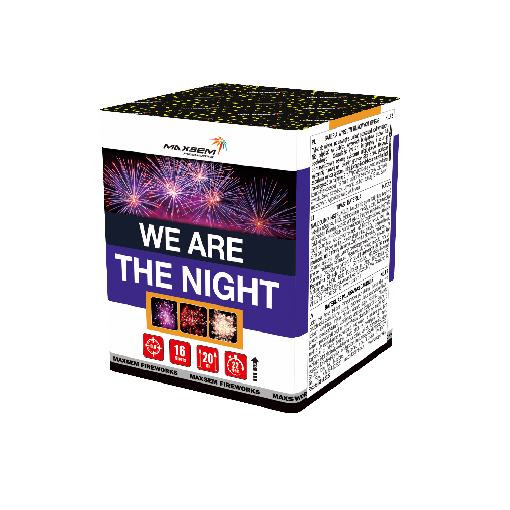 We Are The Night